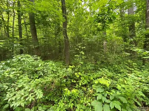 Trct 2&3 Moody Bridge Road Cullowhee NC 28723