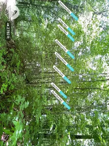 Trct 2&3 Moody Bridge Road Cullowhee NC 28723