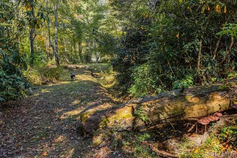 144 Laurel Knob Road Cashiers NC 28717