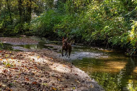 144 Laurel Knob Road Cashiers NC 28717