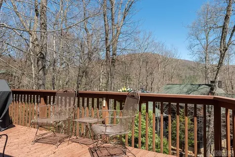 21 Birdnest Road Sapphire NC 28774