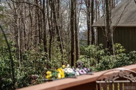 21 Birdnest Road Sapphire NC 28774
