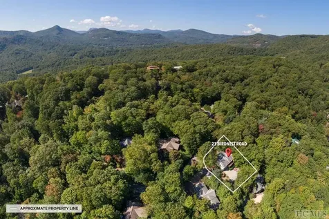21 Birdnest Road Sapphire NC 28774