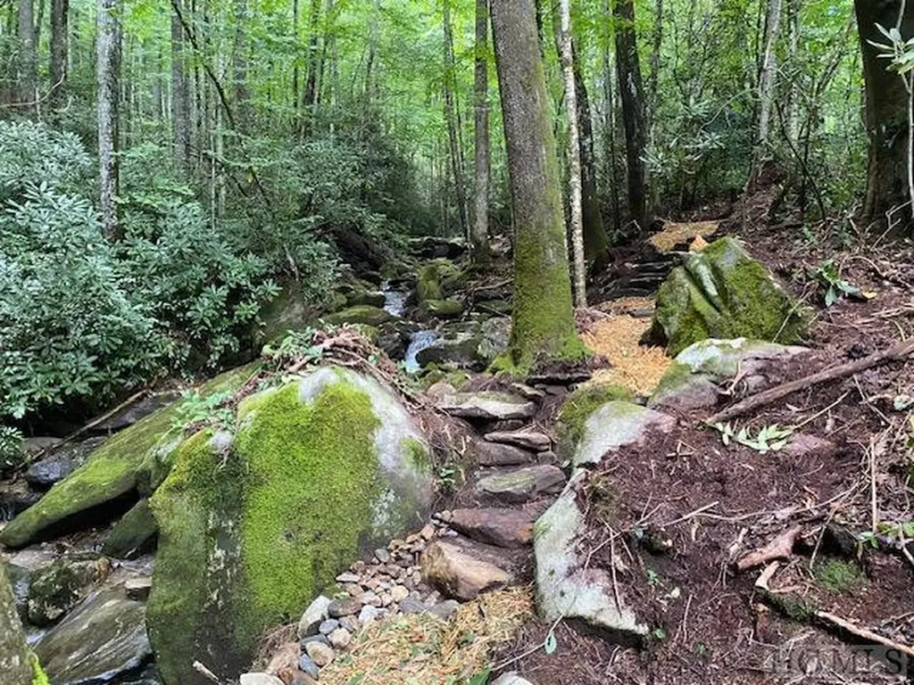 619 Speckled Feather Pass Sapphire NC 28774