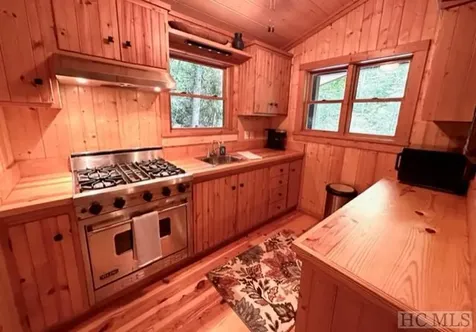 619 Speckled Feather Pass Sapphire NC 28774