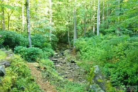 619 Speckled Feather Pass Sapphire NC 28774