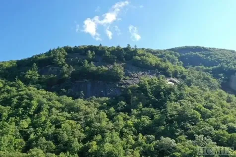 619 Speckled Feather Pass Sapphire NC 28774