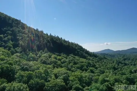 619 Speckled Feather Pass Sapphire NC 28774