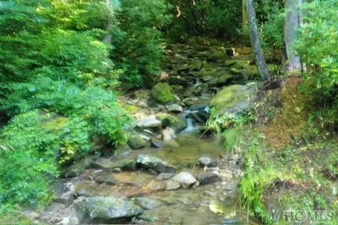 619 Speckled Feather Pass Sapphire NC 28774