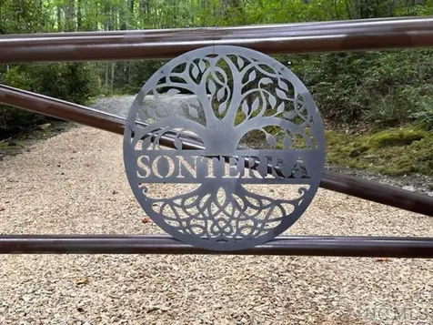 619 Speckled Feather Pass Sapphire NC 28774