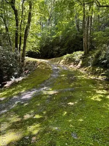 619 Speckled Feather Pass Sapphire NC 28774