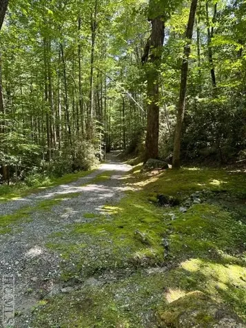 619 Speckled Feather Pass Sapphire NC 28774