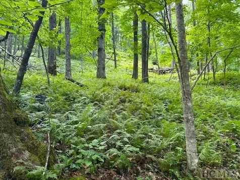 619 Speckled Feather Pass Sapphire NC 28774