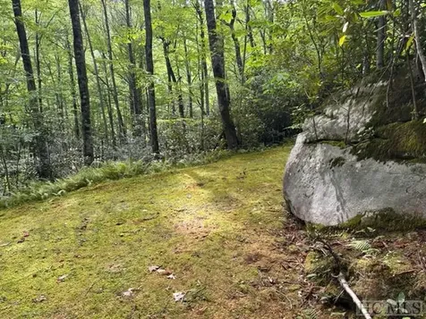 619 Speckled Feather Pass Sapphire NC 28774