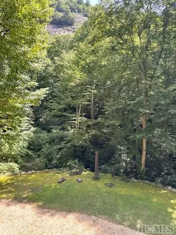 619 Speckled Feather Pass Sapphire NC 28774