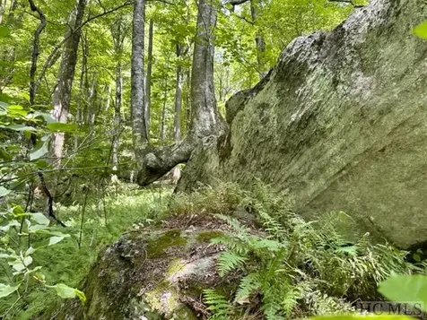 619 Speckled Feather Pass Sapphire NC 28774