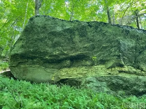 619 Speckled Feather Pass Sapphire NC 28774