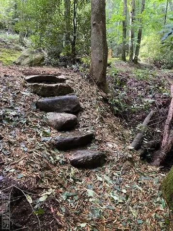 619 Speckled Feather Pass Sapphire NC 28774