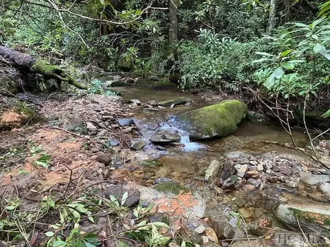 619 Speckled Feather Pass Sapphire NC 28774