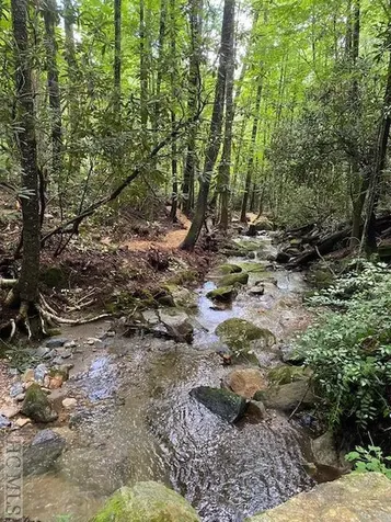 619 Speckled Feather Pass Sapphire NC 28774