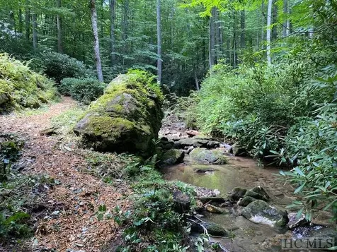 619 Speckled Feather Pass Sapphire NC 28774