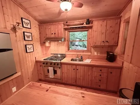 619 Speckled Feather Pass Sapphire NC 28774