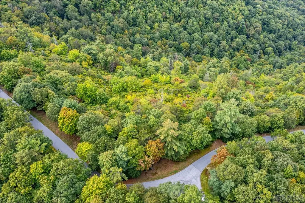 Tbd Twin Ridge Trail Sapphire NC 28774
