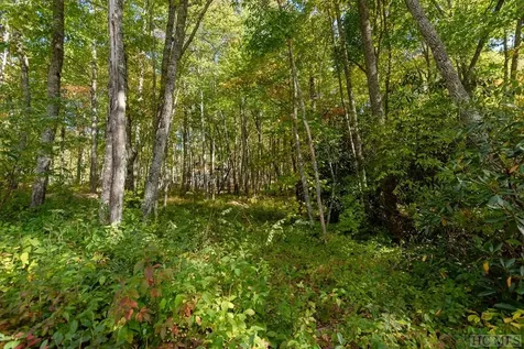 Lot E5 New Settler's Way Glenville NC 28736