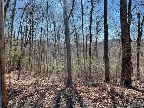 5183 Big Ridge Road Glenville NC 28736