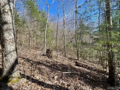 5183 Big Ridge Road Glenville NC 28736