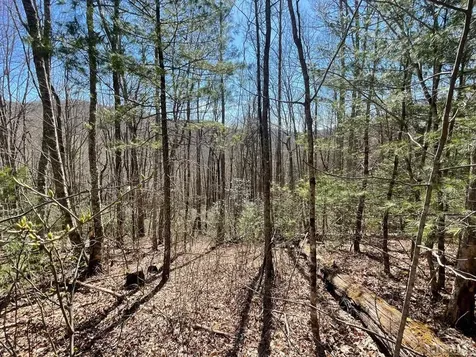 5183 Big Ridge Road Glenville NC 28736