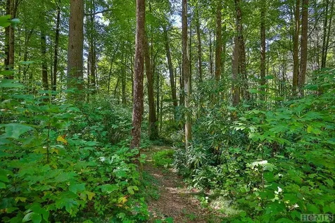 Lot 82 Flagstone Road Cashiers NC 28717