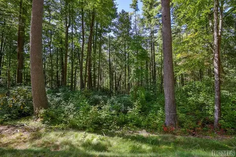 Lot 82 Flagstone Road Cashiers NC 28717