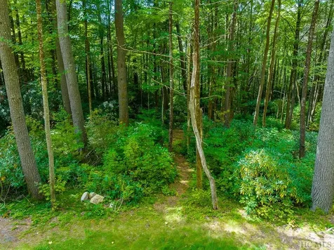 Lot 82 Flagstone Road Cashiers NC 28717