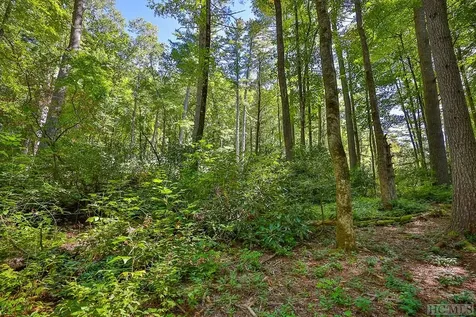 Lot 82 Flagstone Road Cashiers NC 28717