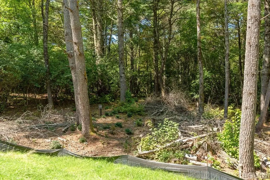 Lot 123 Rippling Waters Trail Glenville NC 28736