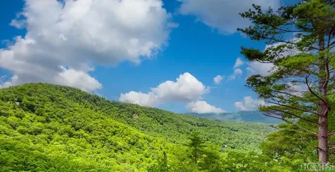 444 E Ridge Road Cashiers NC 28717