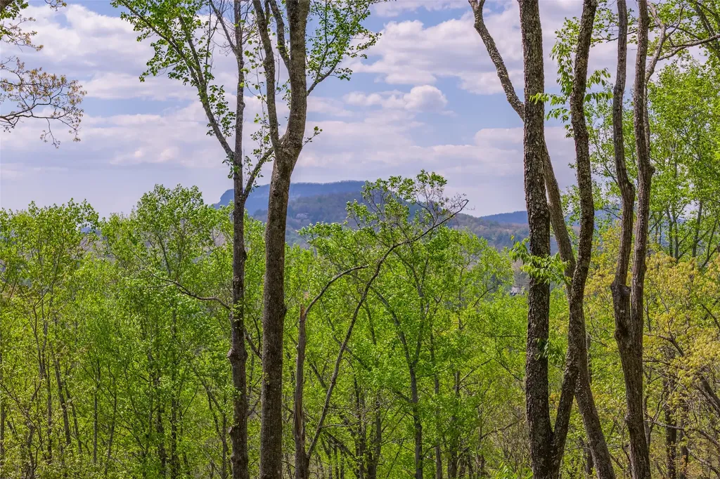 ME-6 Old Chimney Cashiers NC 28717