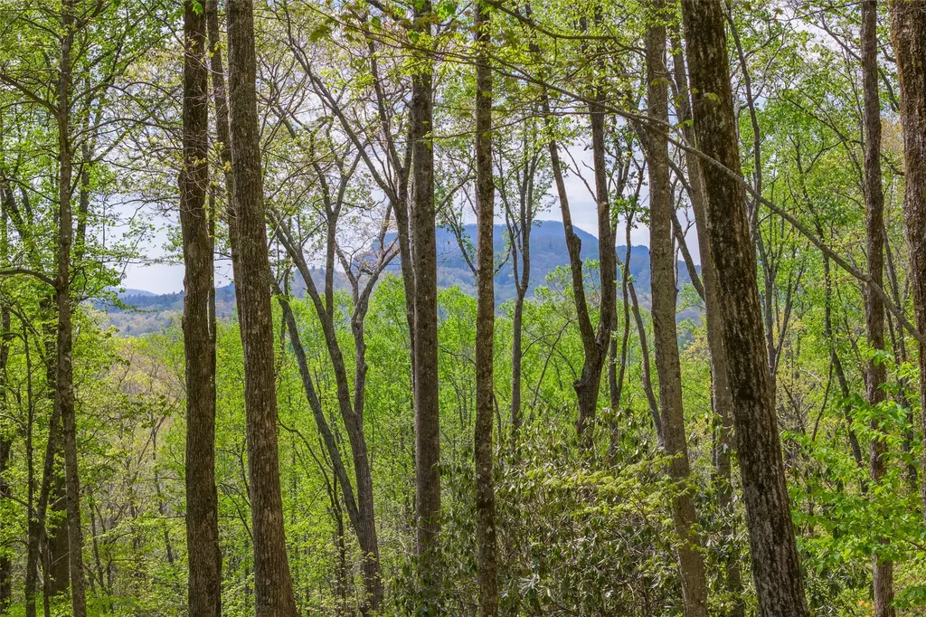 ME-6 Old Chimney Cashiers NC 28717