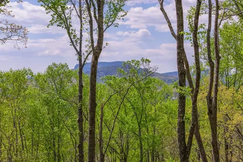 ME-6 Old Chimney Cashiers NC 28717