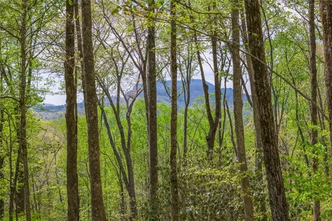 ME-6 Old Chimney Cashiers NC 28717