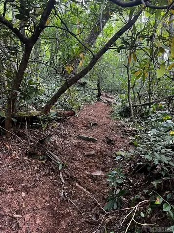 Lot 6 River Overlook Road Sapphire NC 28774