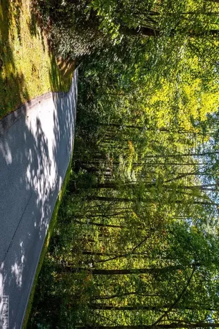 Lot 6 River Overlook Road Sapphire NC 28774