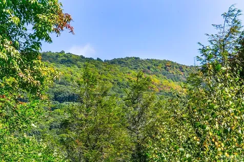 690 Hickory Drive Sapphire NC 28774