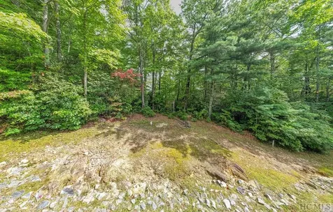 Tbd Toxaway Drive Lake Toxaway NC 28747