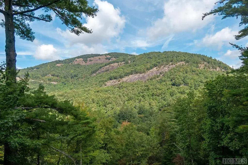 210 Ruffed Grouse Road Cashiers NC 28717