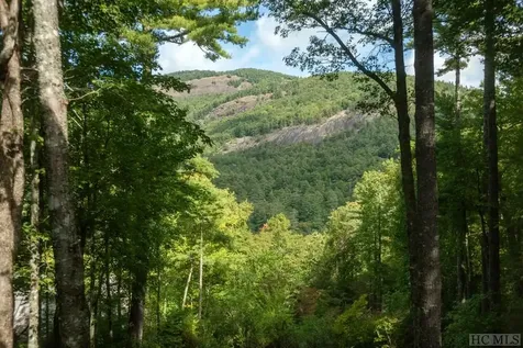 210 Ruffed Grouse Road Cashiers NC 28717