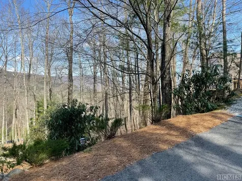 Lot 125 Deer Run Road Sapphire NC 28774