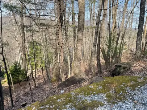 Lot 125 Deer Run Road Sapphire NC 28774