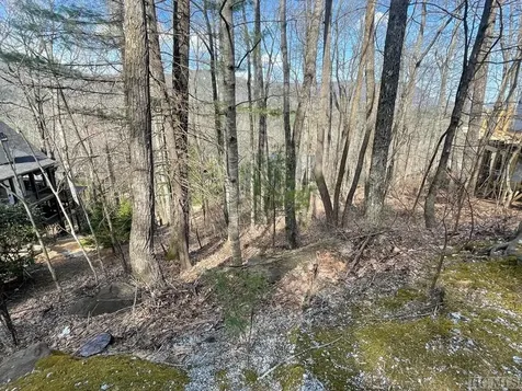 Lot 125 Deer Run Road Sapphire NC 28774